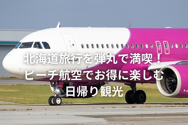 北海道旅行を弾丸で満喫！ピーチ航空でお得に楽しむ日帰り観光