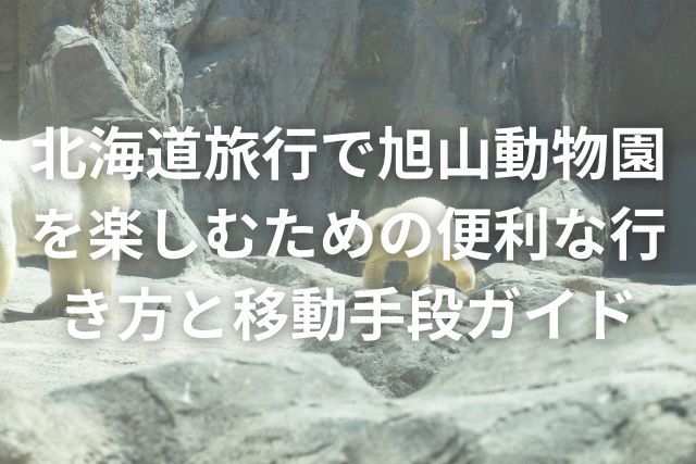 北海道旅行で旭山動物園を楽しむための便利な行き方と移動手段ガイド